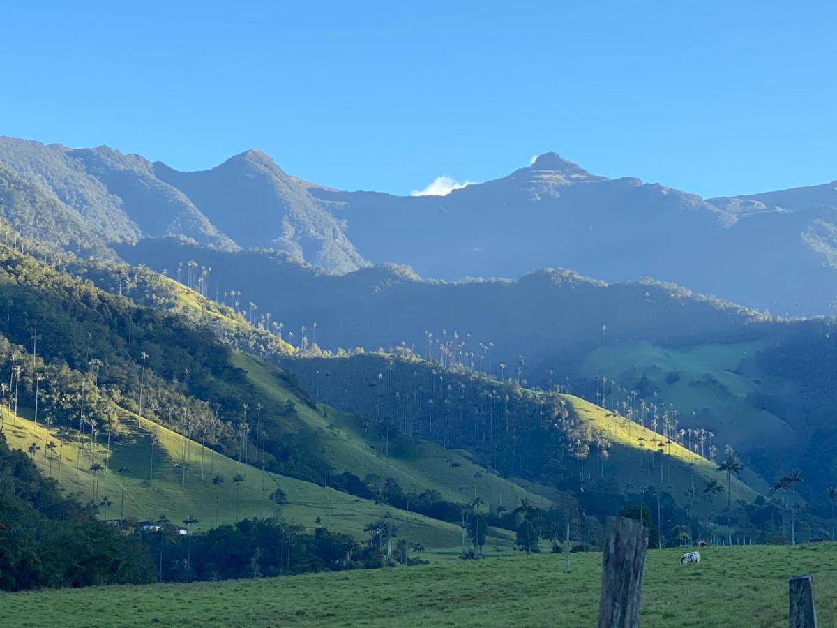 Refugio Nidos Del Condor Cocora Саленто Экстерьер фото